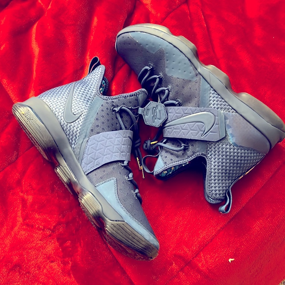 LEBRON XIV LMTD